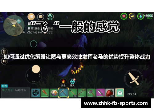 如何通过优化策略让魔鸟更高效地发挥老马的优势提升整体战力 如何通过优化策略让魔鸟更高效地发挥老马的优势提升整体战力