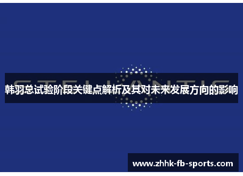 韩羽总试验阶段关键点解析及其对未来发展方向的影响